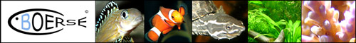 Fischb�rse