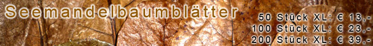 Seemandelbaumbl�tter